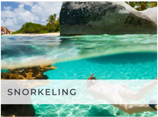 Snorkelling