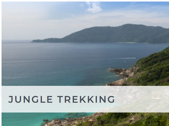 Jungle Trekking